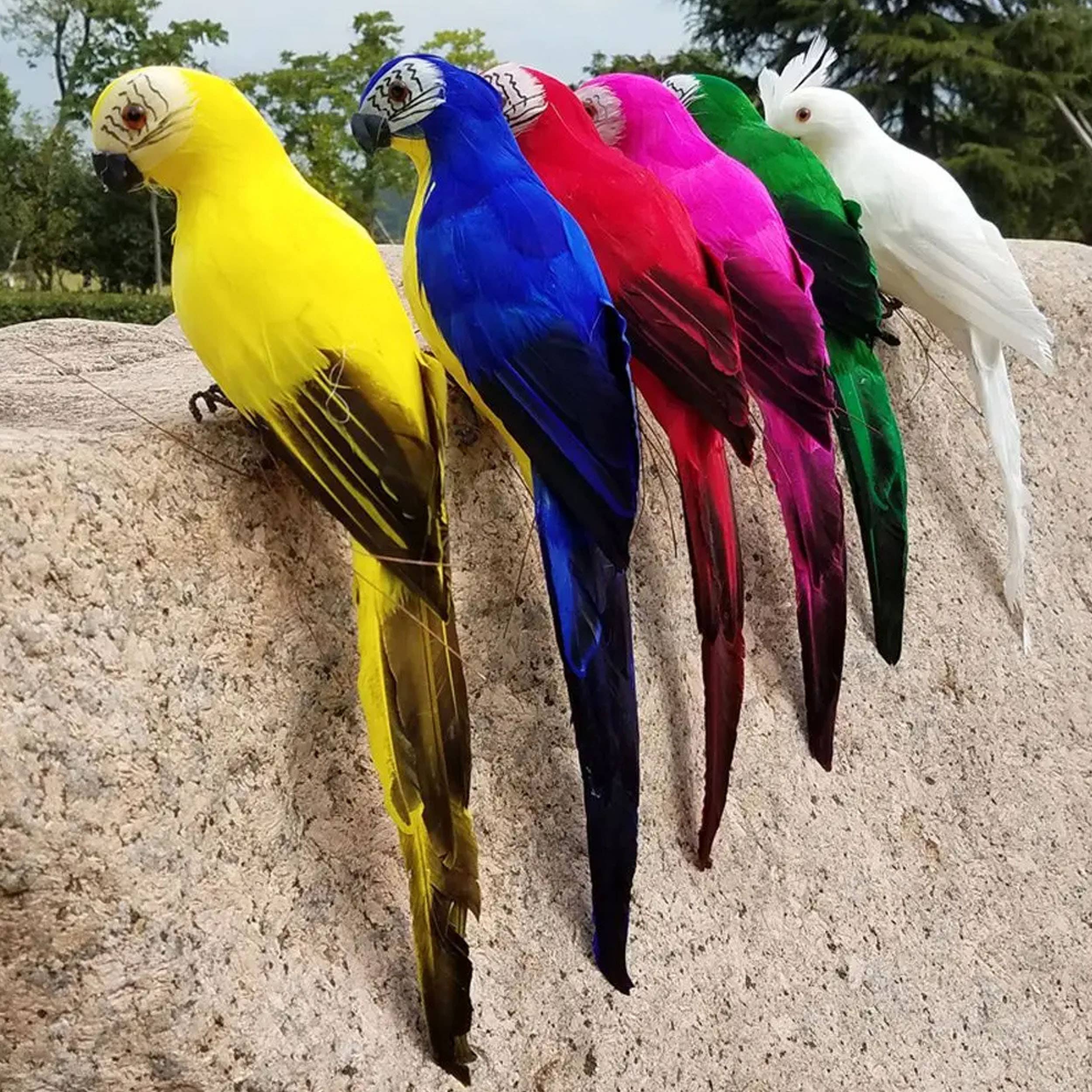 Buddha Ayurveda - Wholesale Sculpture - Handcraft Parrot Birds Model For Home Decor 6