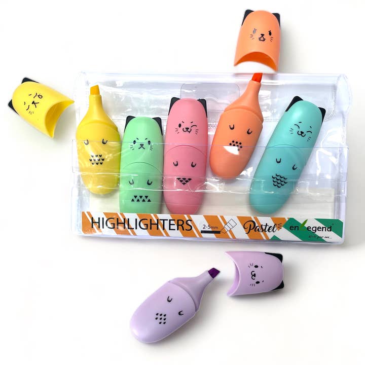 A Brighter Year - Wholesale Highlighter - Markers Chisel Tip Fine/Broad Coloring Mini Highlighter
