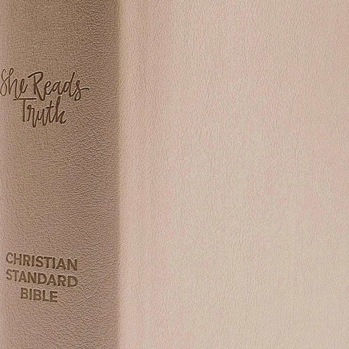Lifeway - Wholesale Religion - CSB She Reads Truth Bible, Champagne Gold LeatherTouch8