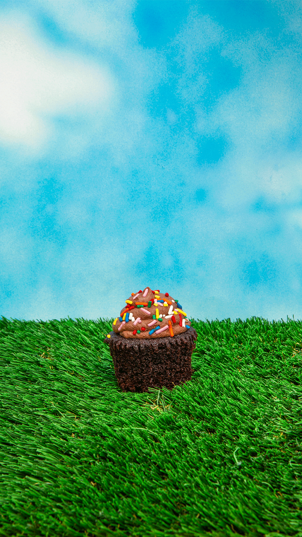 gentle thrills - Wholesale Pet Poop Bag - fancy dog poop bags2