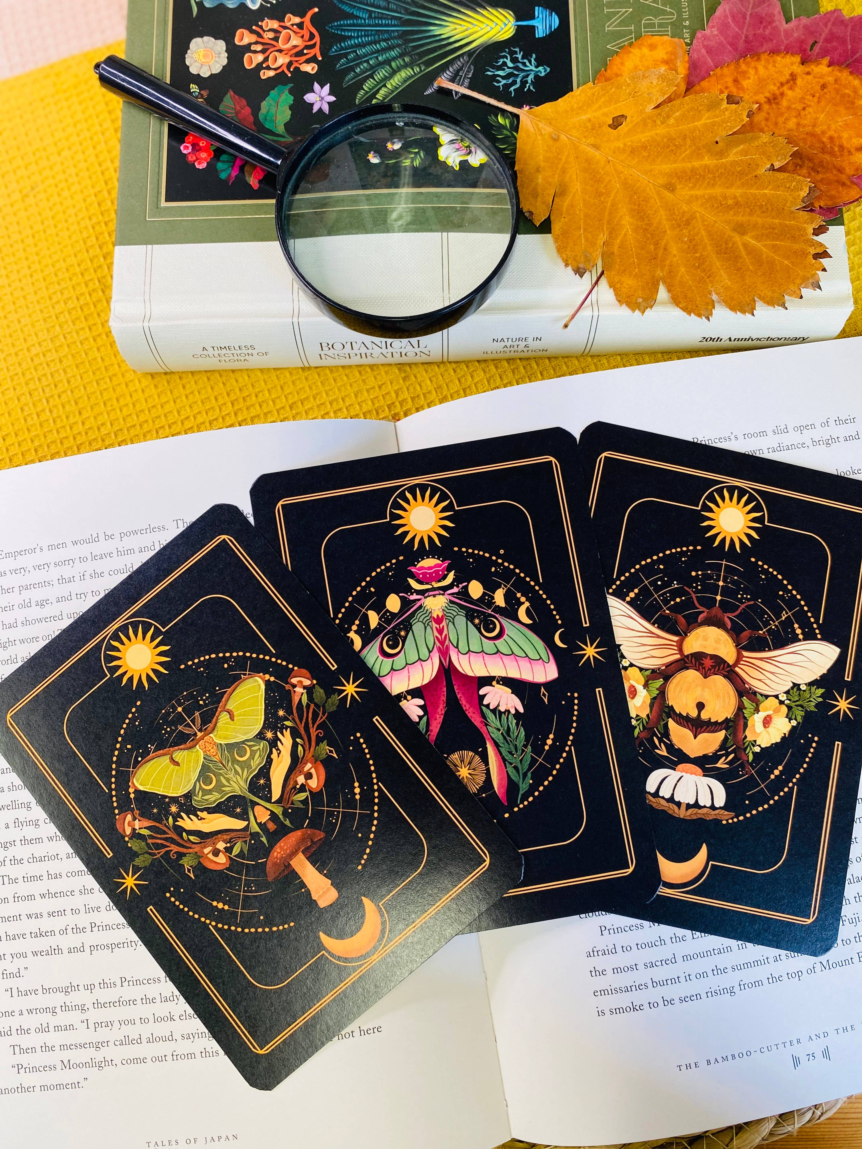 Split Moon Studios - Wholesale Art Print - A Set of Insect Art Prints - A6 Post Card Size - Artprint15