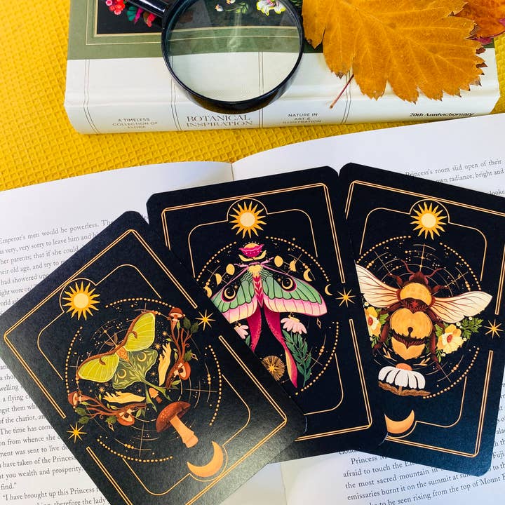 Split Moon Studios - Wholesale Art Print - A Set of Insect Art Prints - A6 Post Card Size - Artprint15