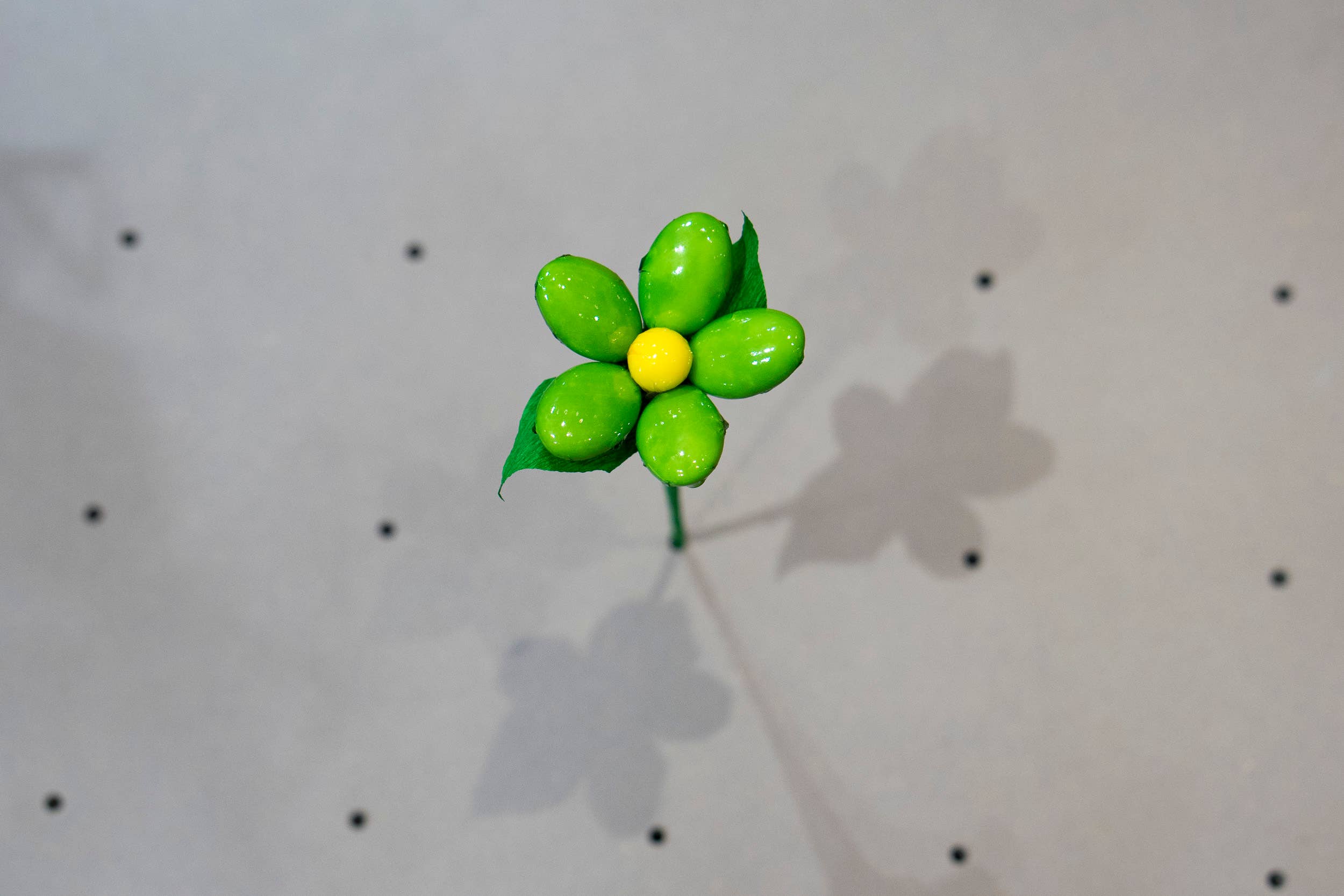 Fleurs-Thés en chocolat – wholesale Chokladtäckta godisar – Liten prästkrage i chokladdragerade mandlar1