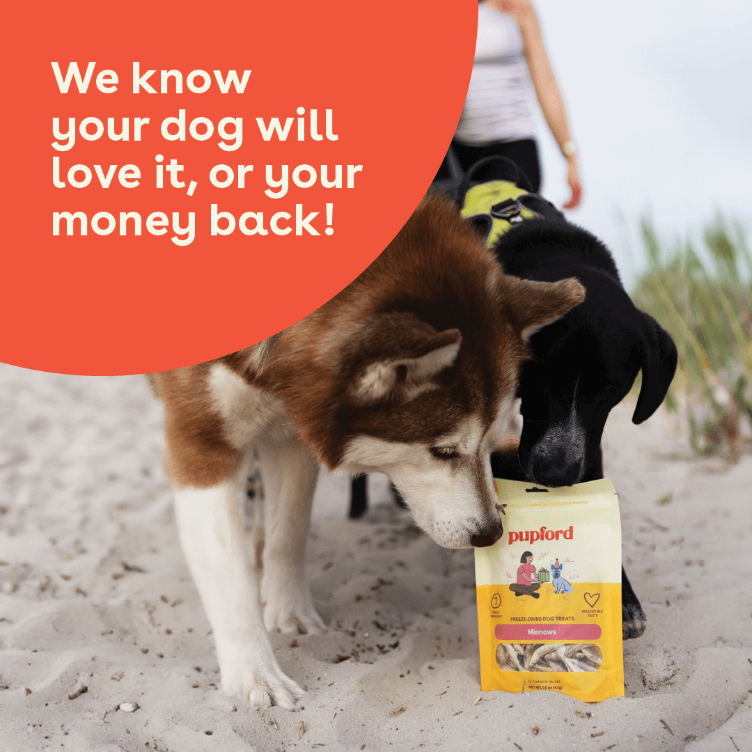 Pupford - Wholesale Pet Treats - Dog - Freeze Dried Minnows 1.5oz6