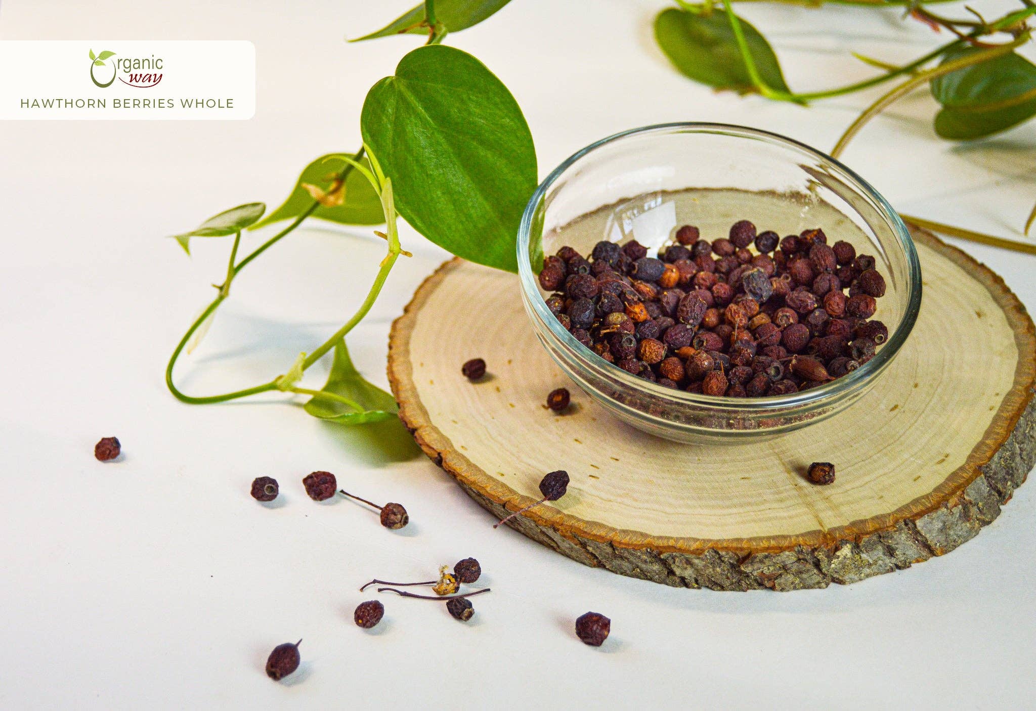 Organic Way LLC - Wholesale Loose Tea - Hawthorn Berries Fruit Whole (Crataegus monogyna) - European Wild-Harvest | Kosher Certified | Vegan, Non GMO & Gluten Free | USDA Certified | Origin - Albania2