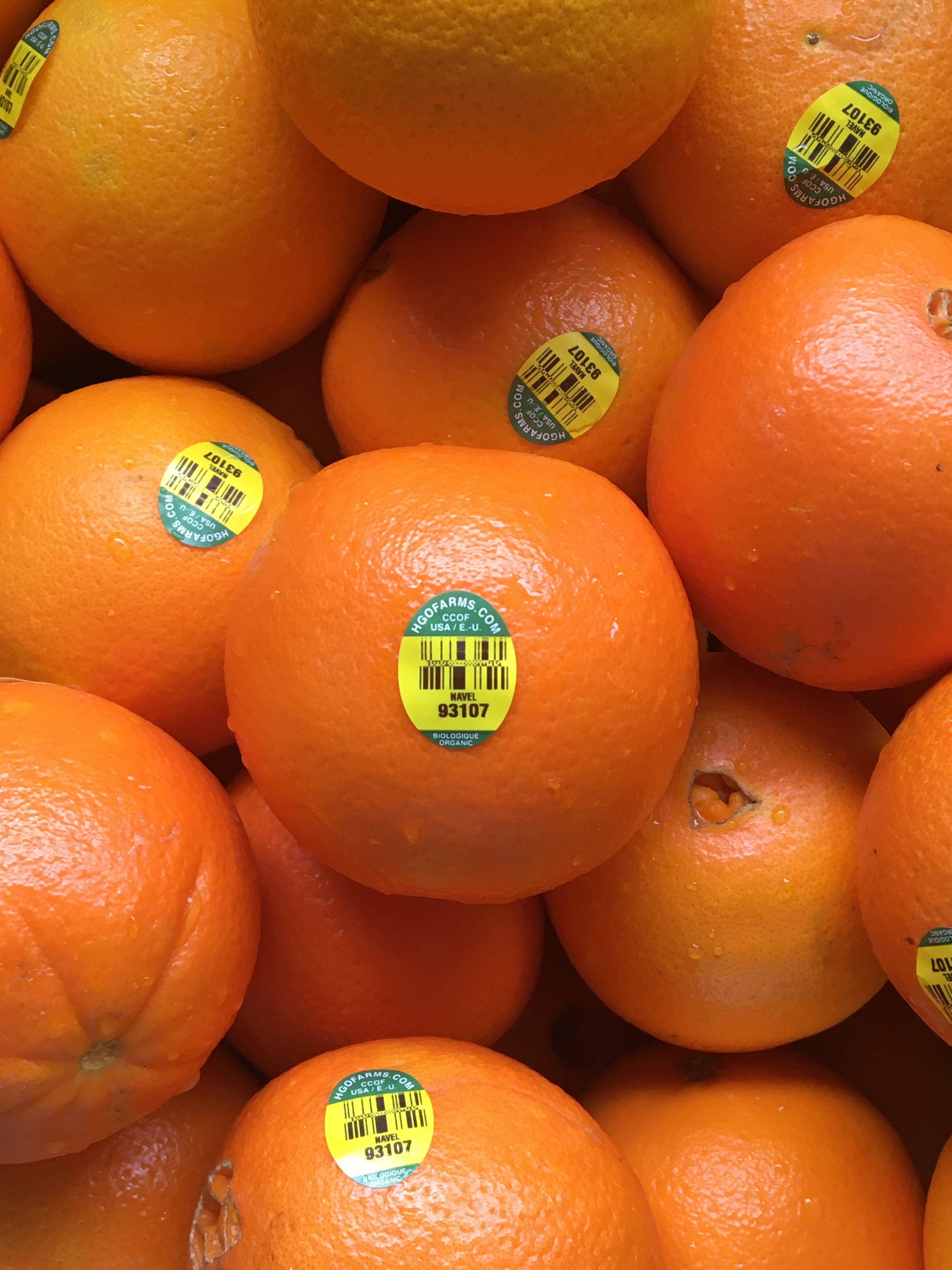 FreshDried – Fruta seca/desidratada por atacado – Rodelas de Laranja Secas Orgânicas7