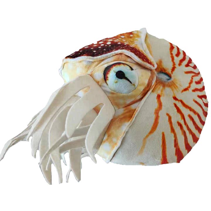 Texas Toy Distribution - Wholesale Stuffed/Plush Toy - Kids & Baby - Nautilus Plush 12" Stuffed Animal Collectible Fossil Toy