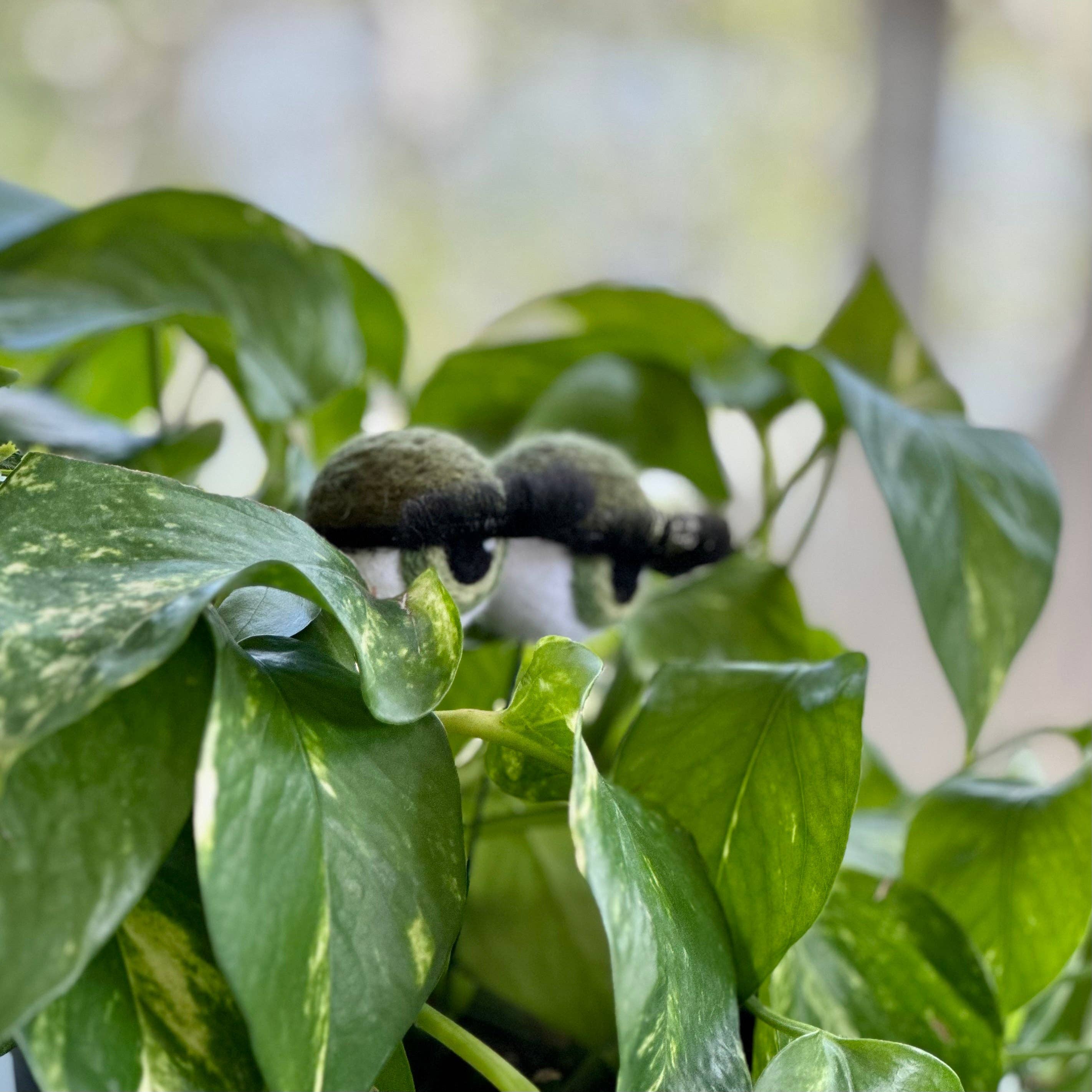 Sheep Farm Felt - Wholesale Garden/Lawn Stake - Felt Planter Eyeballs with Eyelashes 11