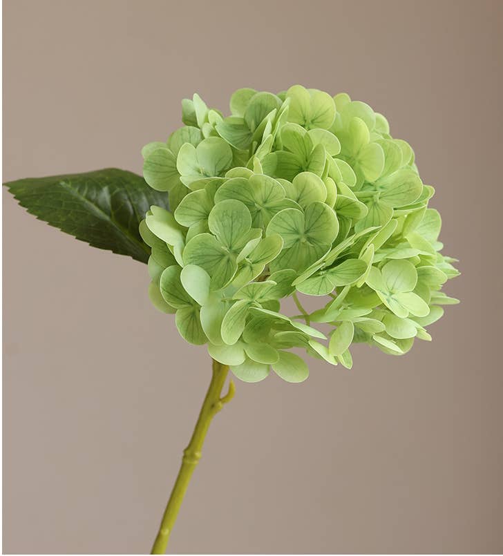 Angel Isabella - Wholesale Artificial Flowers - 12.5"Real Touch lifelike Hydrangea-6”bloom9