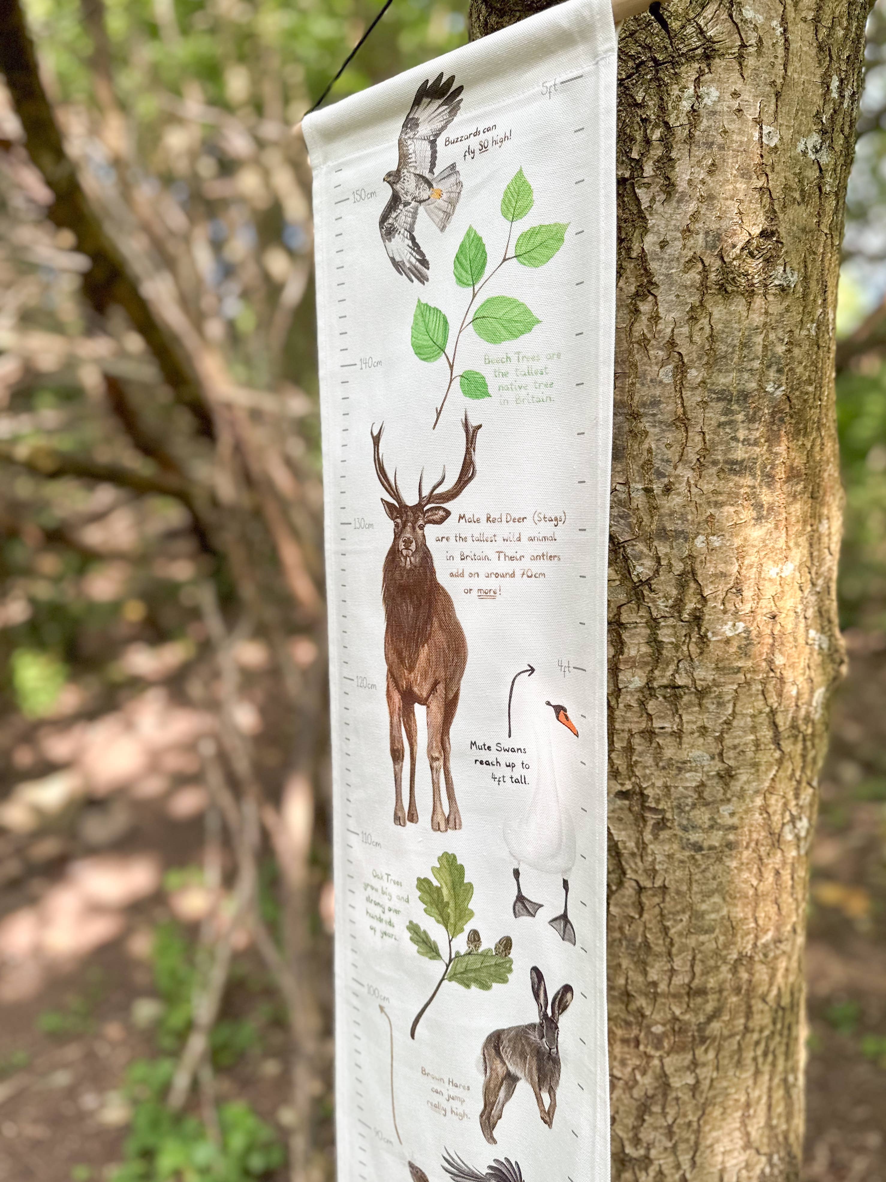 This Thursday - Wholesale Growth Chart - Kids & Baby - Woodland Life Fabric Height Chart1