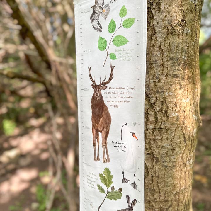 This Thursday - Wholesale Growth Chart - Kids & Baby - Woodland Life Fabric Height Chart1