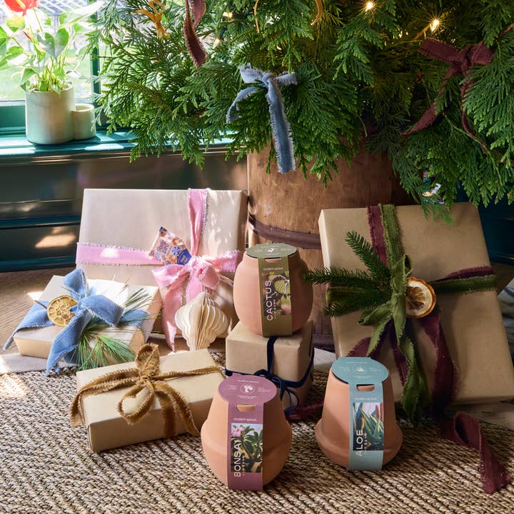 Modern Sprout - Wholesale Plant Seeds - Terracotta Grow Kits5