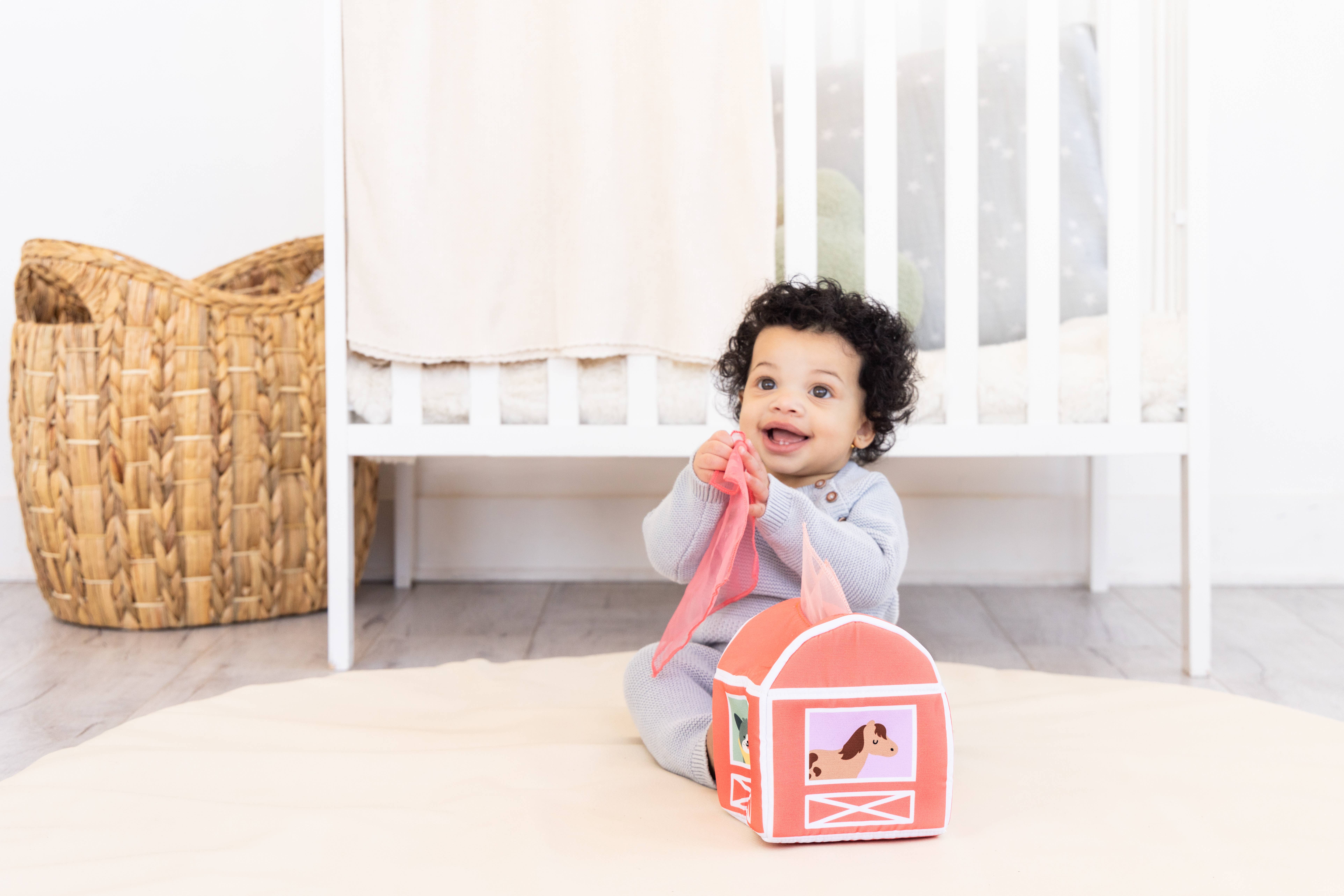 Pearhead - Wholesale Learning Cards - Kids & Baby - 6-12 Months Learning Kit, Montessori Developmental Toys8