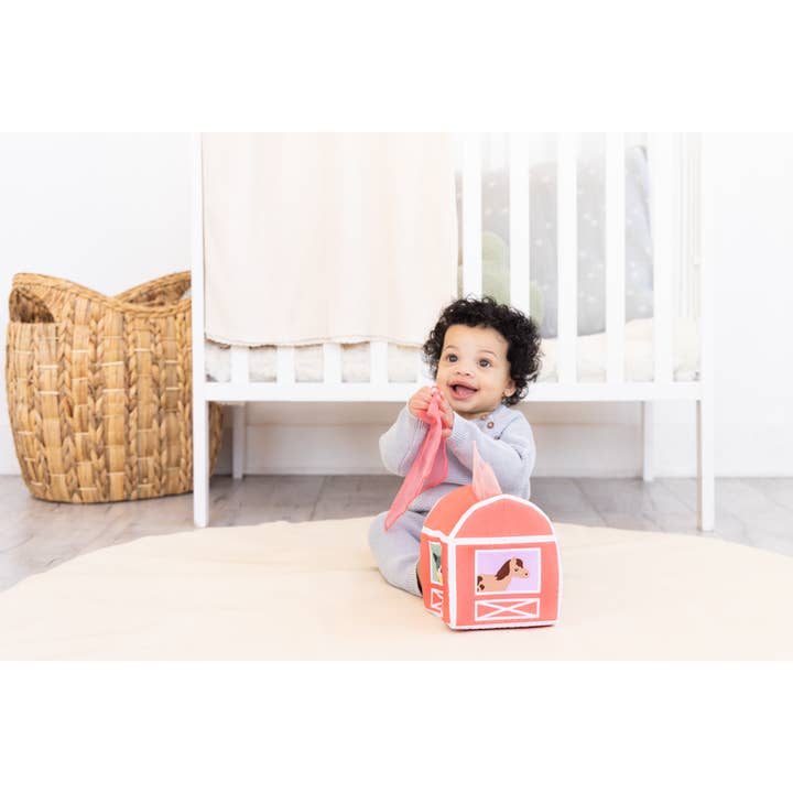 Pearhead - Wholesale Learning Cards - Kids & Baby - 6-12 Months Learning Kit, Montessori Developmental Toys8