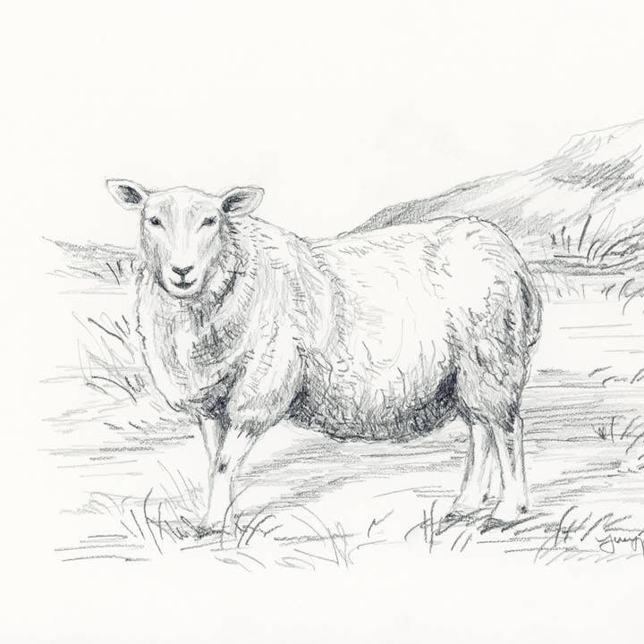 Impressão “Ovelha no Vale” por atacado de Lucy Reiser Fine Art