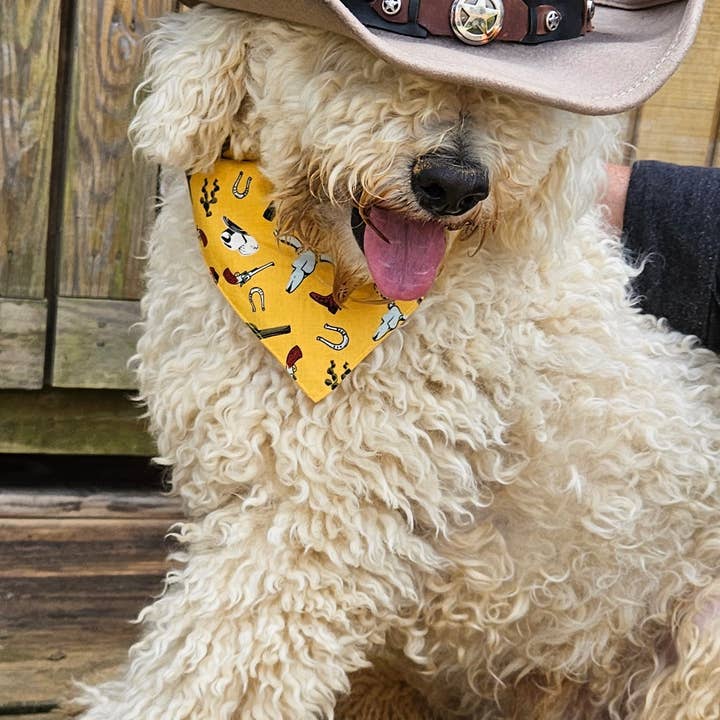 Barkriffic - Wholesale Pet Bandana - Dog - Western/ Reversible Snap-On Dog Bandana