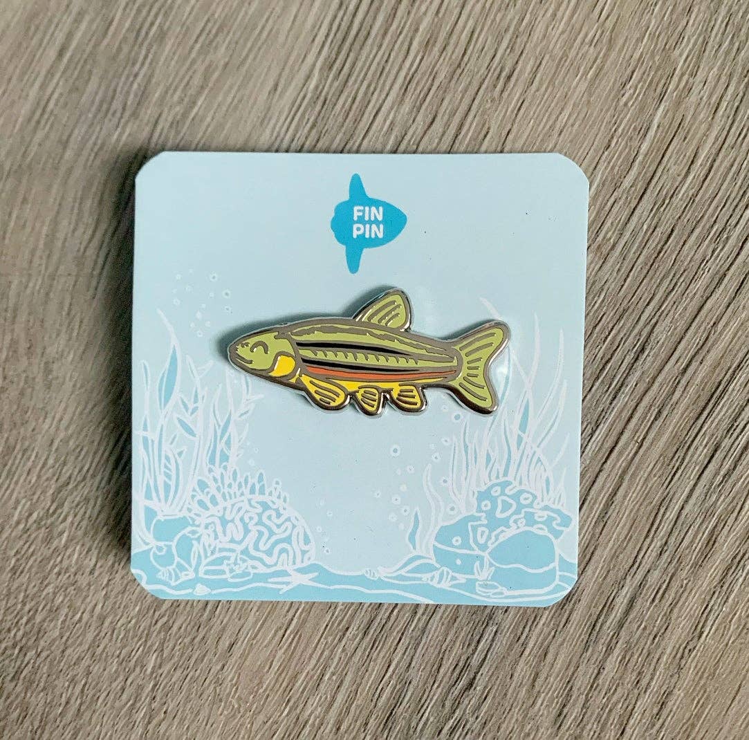 Fin Pin Shop - Wholesale Lapel Pin/Button - Northern Redbelly dace fish enamel pin - donation item