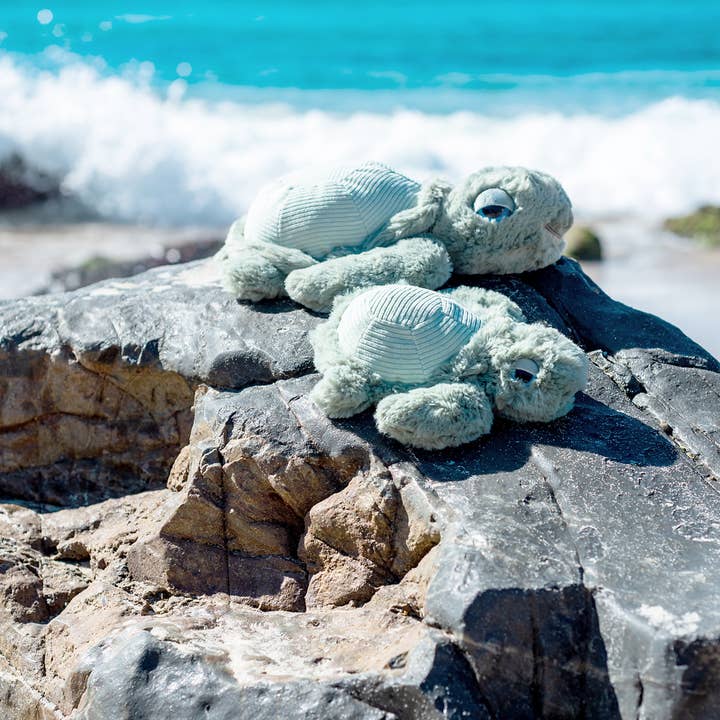 OB Designs Australia - Wholesale Stuffed/plush toy – Kids & baby - Little Tyler Turtle Soft Toy 7.8" / 20cm4