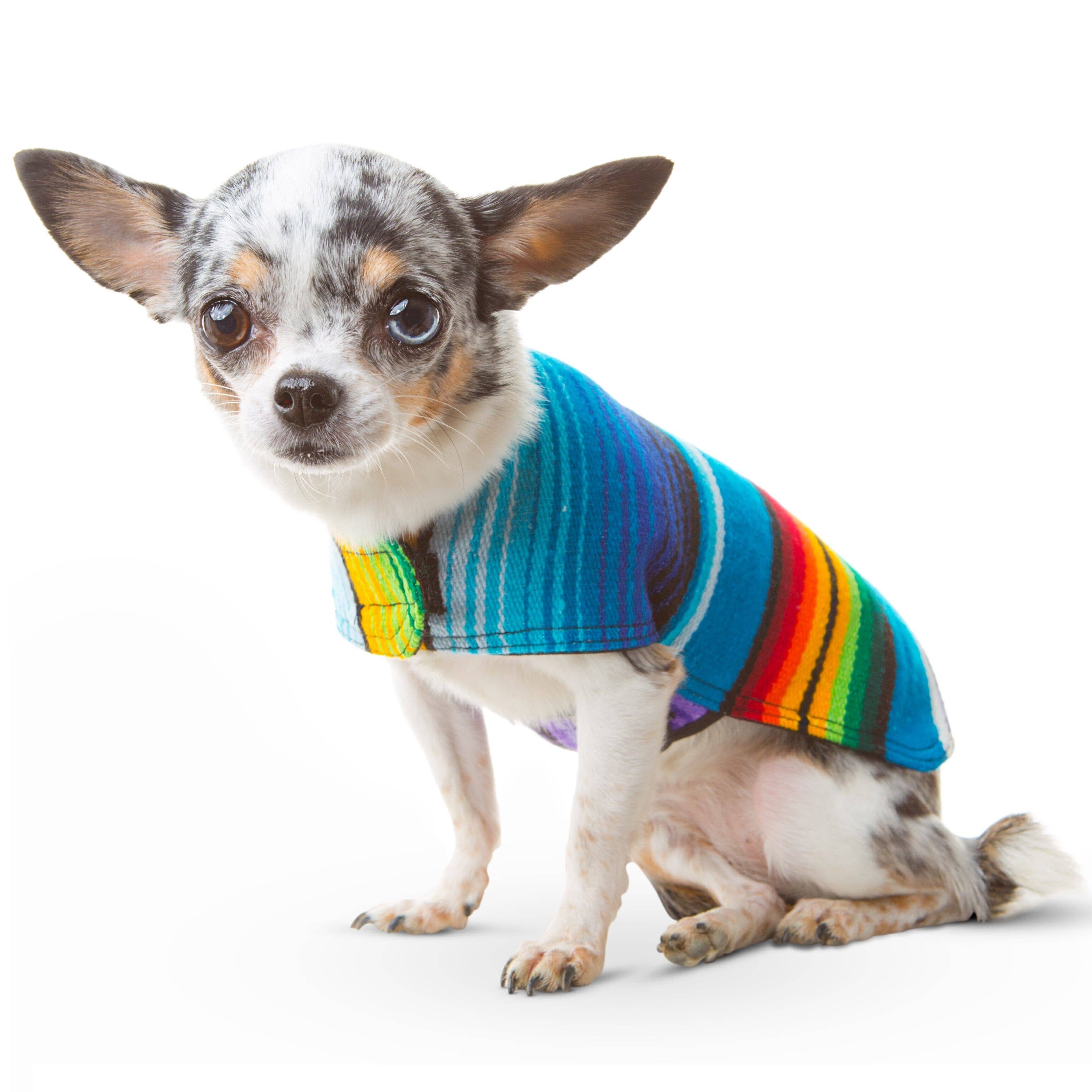Image detail for -Louis Vuitton LV dog coat - Louis Vuitton LV dog coat  (--),dog coats