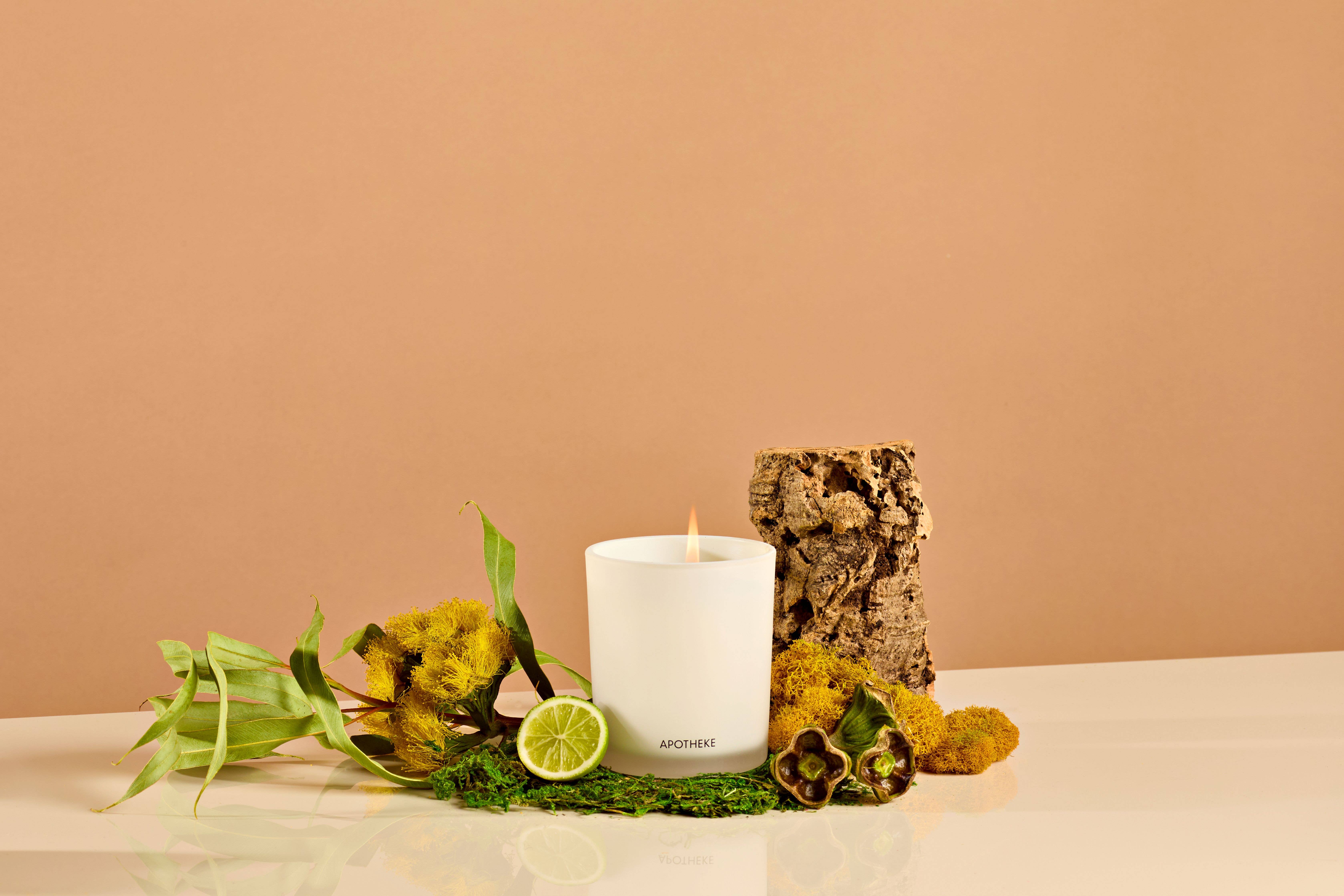 Apotheke - Vendita all'ingrosso Candela in vasetto - Candela classica White Vetiver1