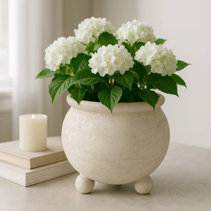 Sagebrook Home - Wholesale Plant Pot - Planter - Ivory Pottery Round Textured On Ball Feet, 9 in.
