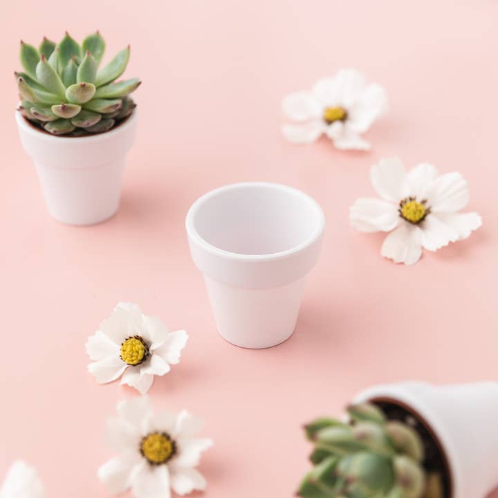 Succulent Kreations - Wholesale Plant Pot - White Pot for 2-2.5" plant1