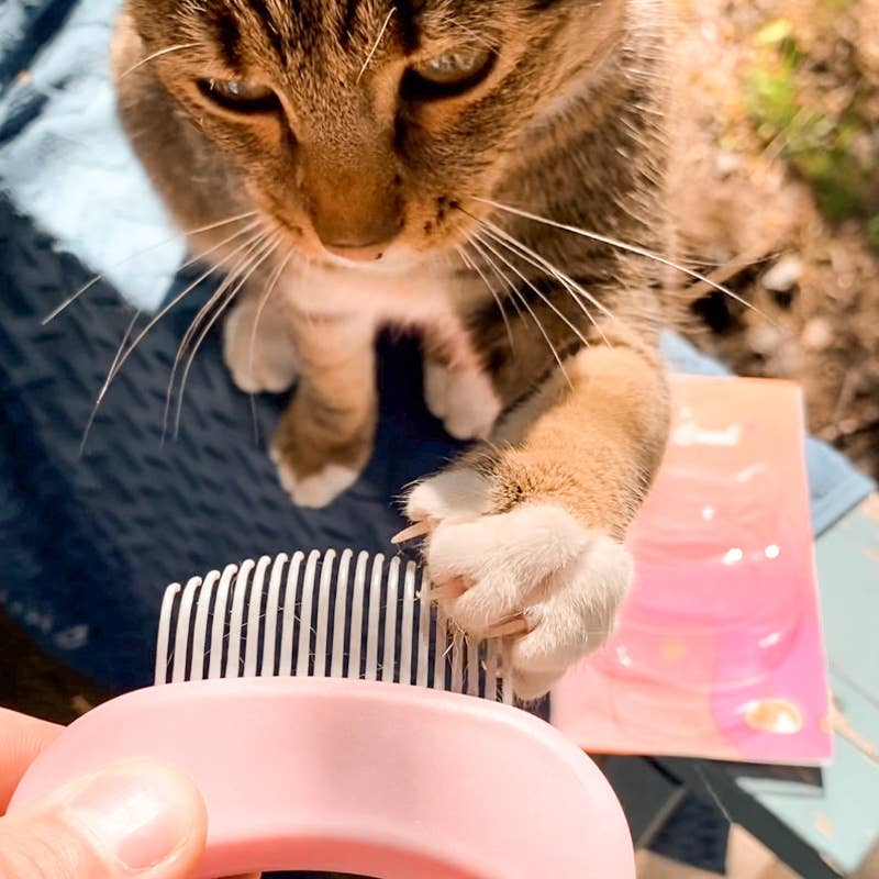 Leo's Paw - Wholesale Pet Grooming Aid - Dog - Cat Hair Removal Massaging Shell Comb3