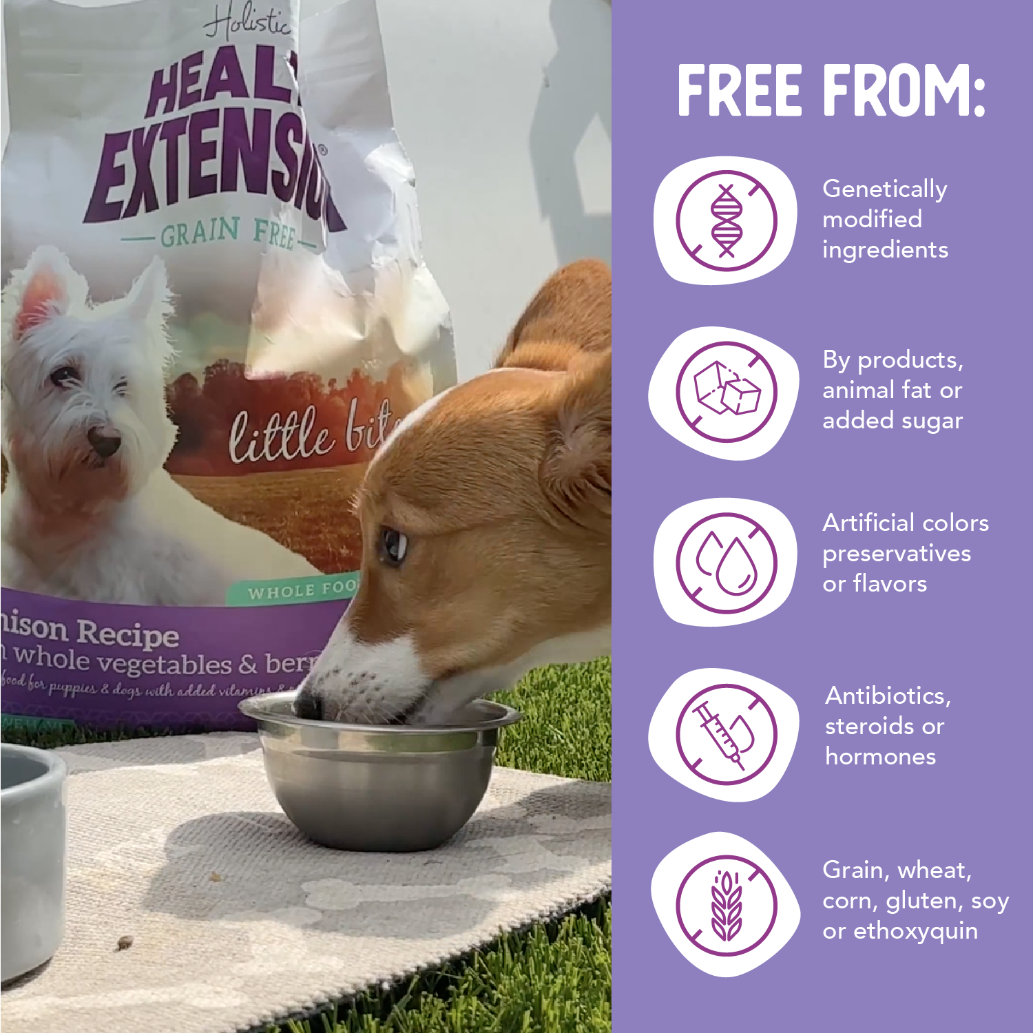 Health Extension Pet Care - Wholesale Pet Food - Dog - Grain Free Venison & Sweet Potato Little Bites Recipe5