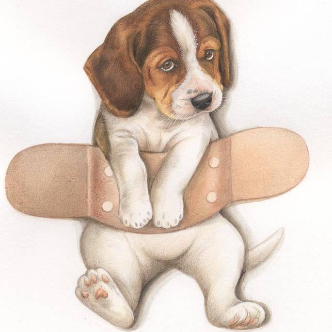 Card for Display - Beagle with patch - per 10 pieces for wholesale by Animal Prints