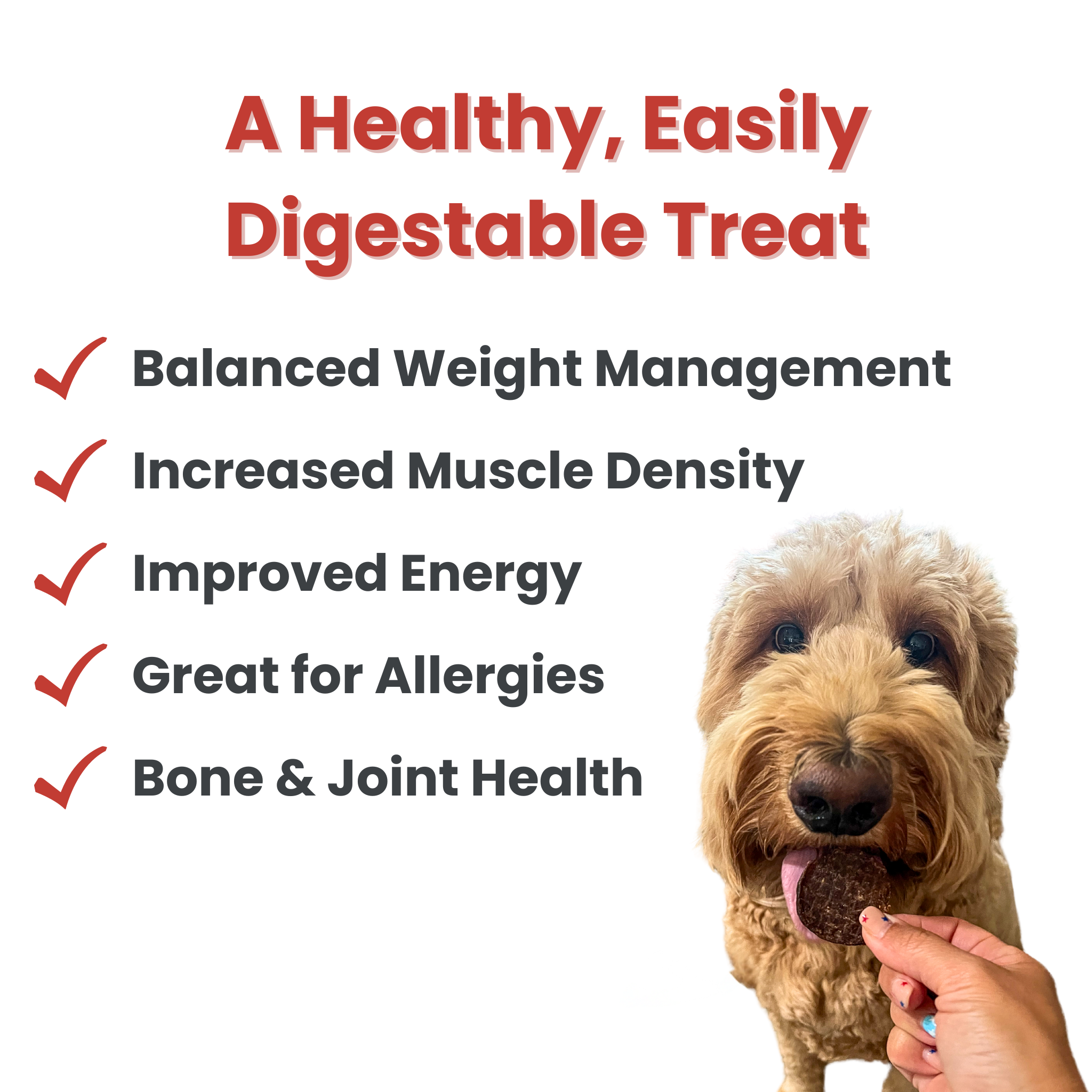Farm to Pet Healthy Treats for Dogs & Cats - Wholesale Pet Treats - Dog - Beef Chips Dog Treats5