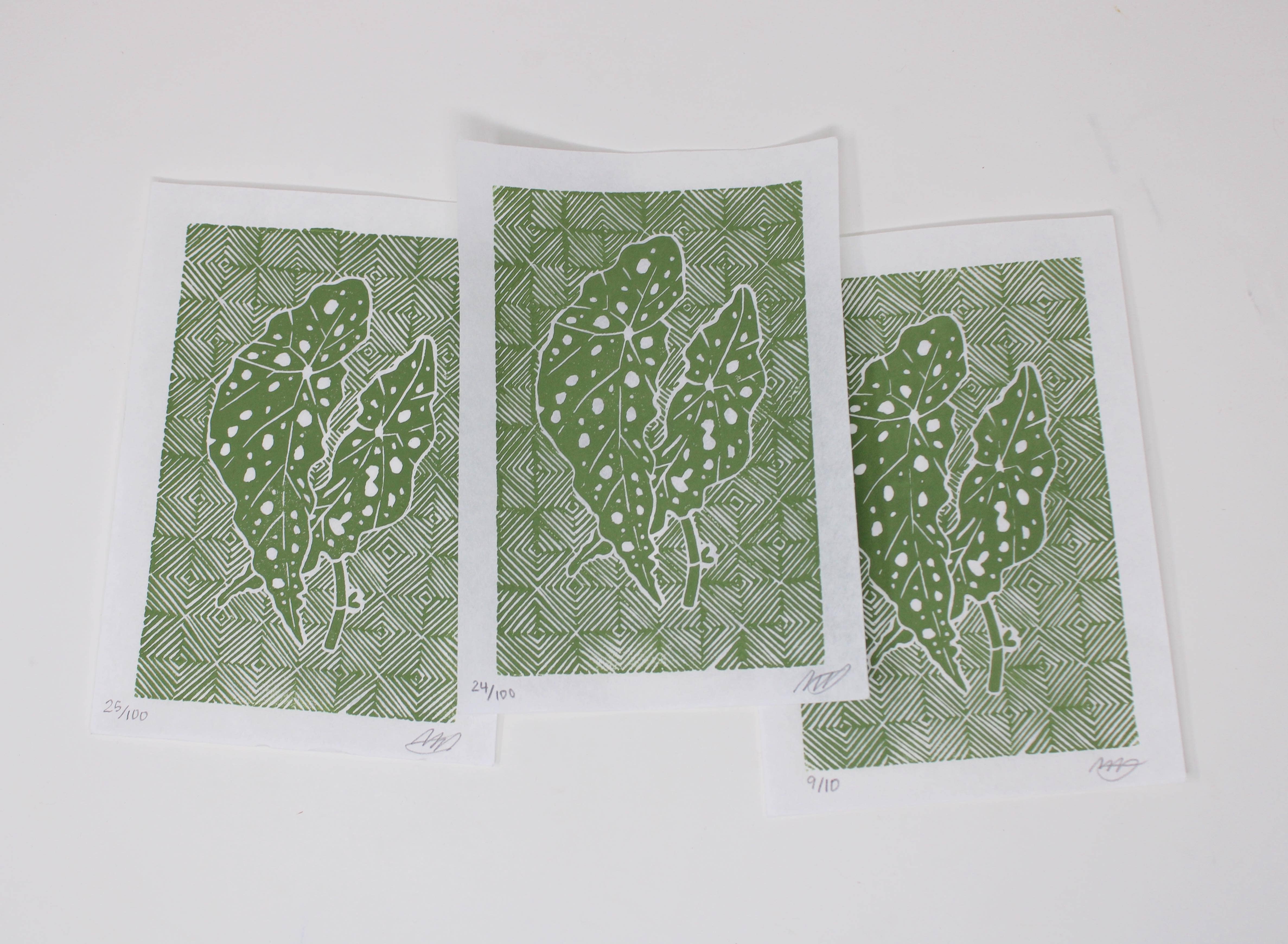 Morganite Press - Wholesale Art Print - Polka Dot Begonia (Begonia Maculata)  Linocut Print 3