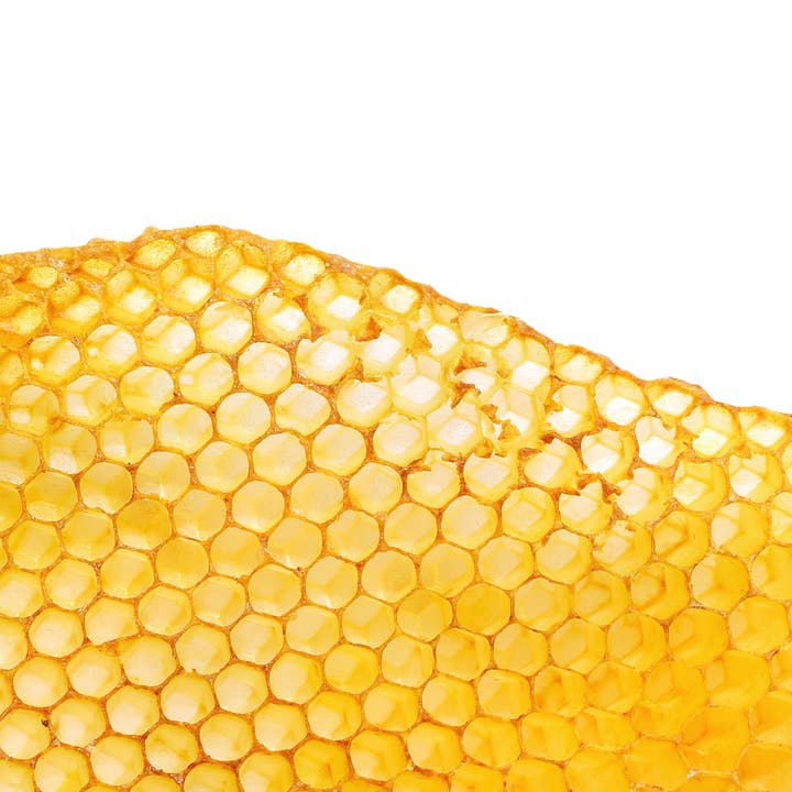 Nash and Jones - Wholesale Lip Balm - Lip Love: Clean Ingredient Lip Balm1