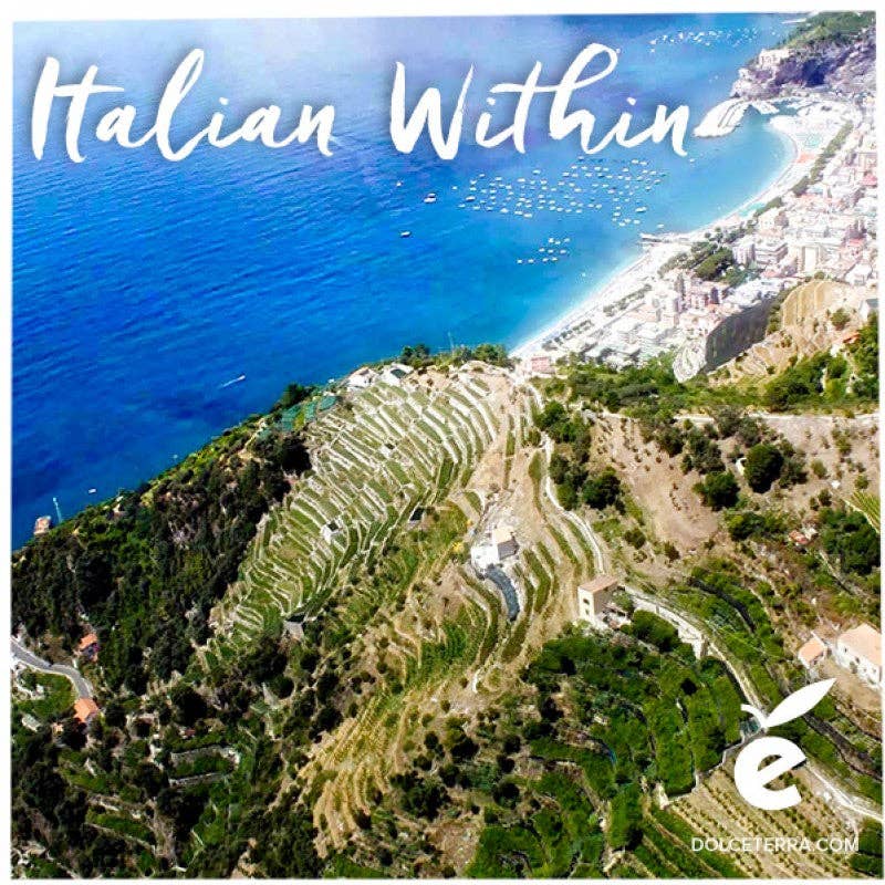 Italian Within – Azeite por atacado – Frasco de Pintura 'SORRENTO' Dolceterra Azeite Virgem (Handmad2