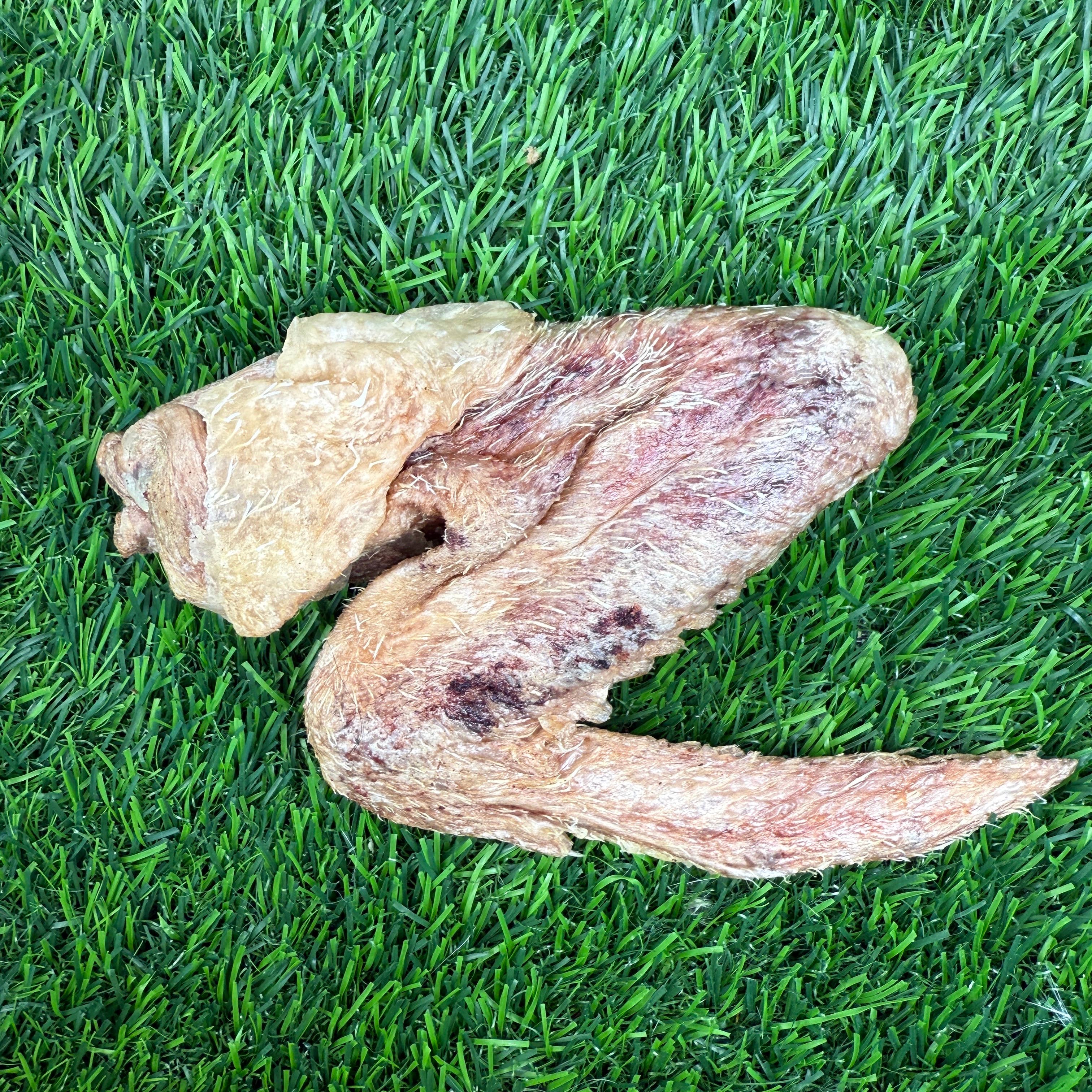 Golden Nibbles - Wholesale Pet Treats - Dog - Duck Wing - Freeze-Dried Treat/Chew for Dogs3