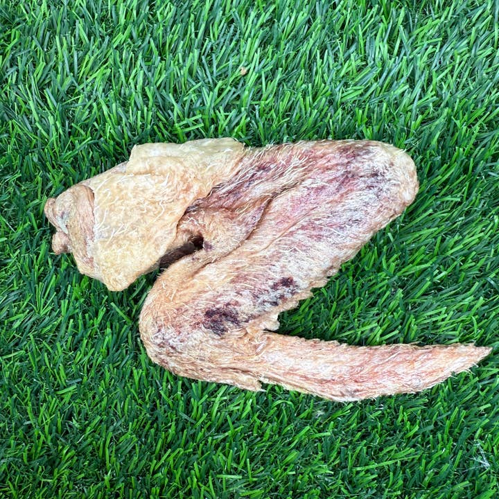 Golden Nibbles - Wholesale Pet Treats - Dog - Duck Wing - Freeze-Dried Treat/Chew for Dogs3