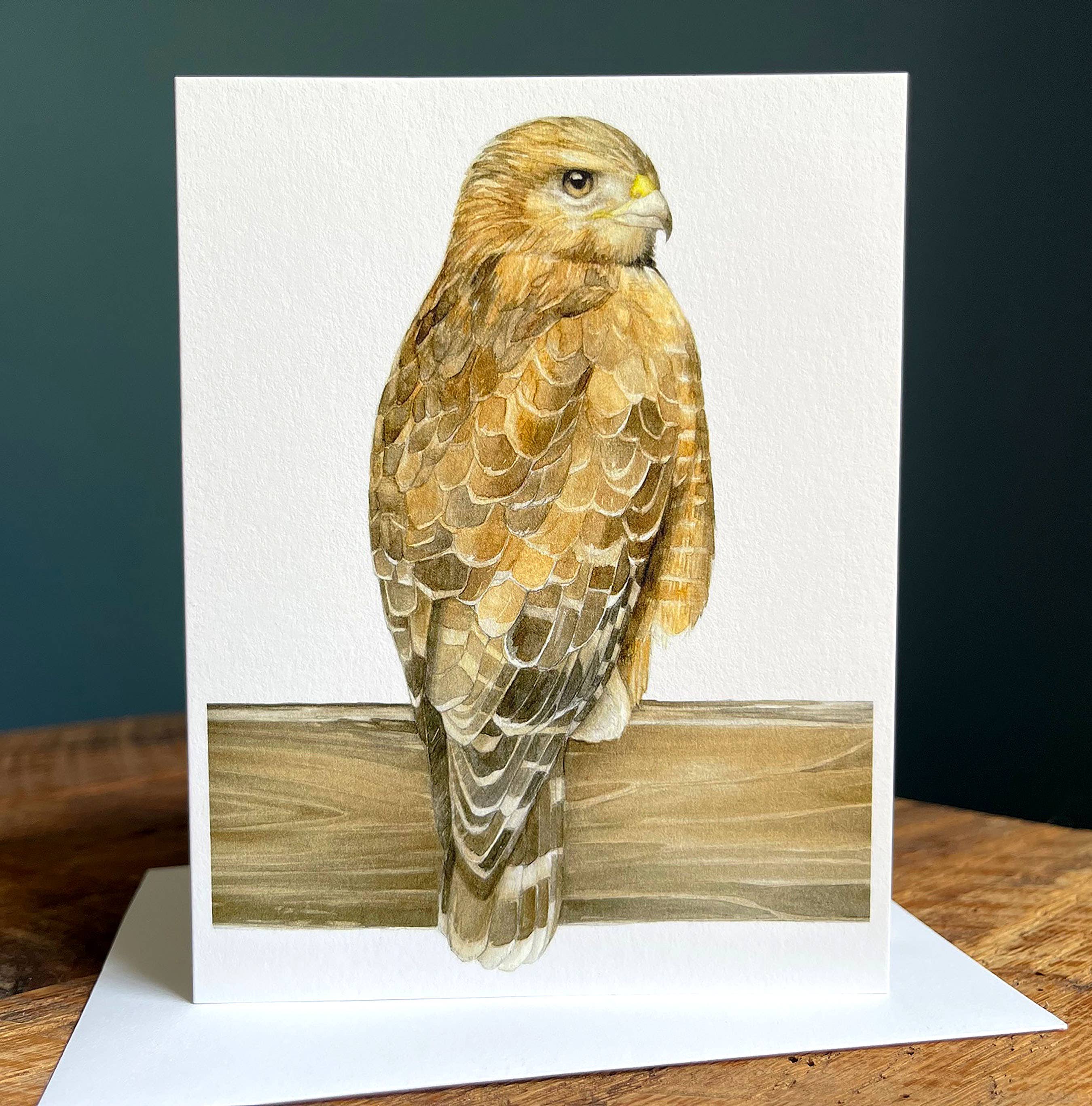Amy Shawley Paquette - Wholesale Stationery/Notecard Set - Red-shouldered Hawk - Blank Note Card0