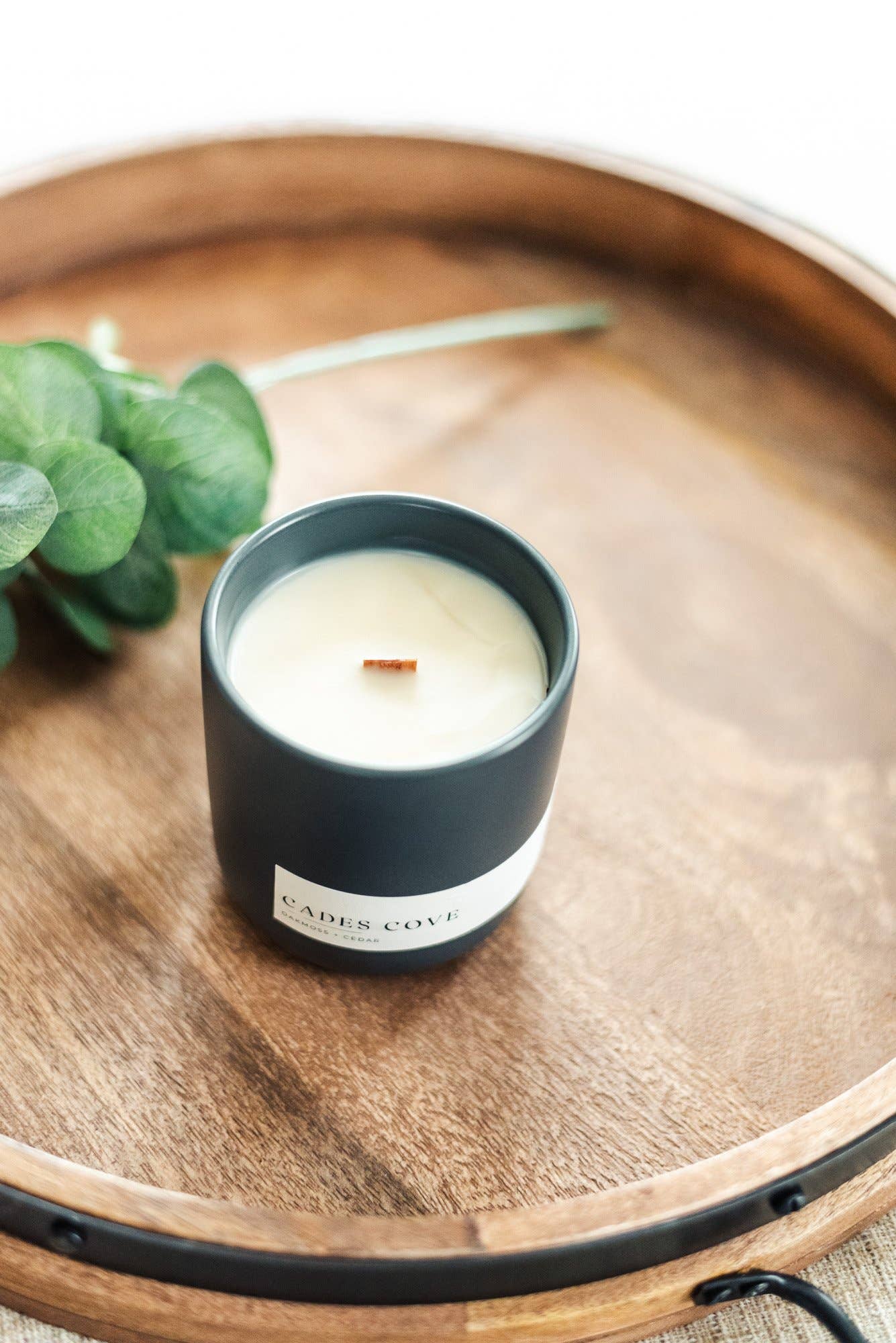 Solana - Wholesale Jar/Filled Candle - Cades Cove Candle (Oakmoss & Cedar)3