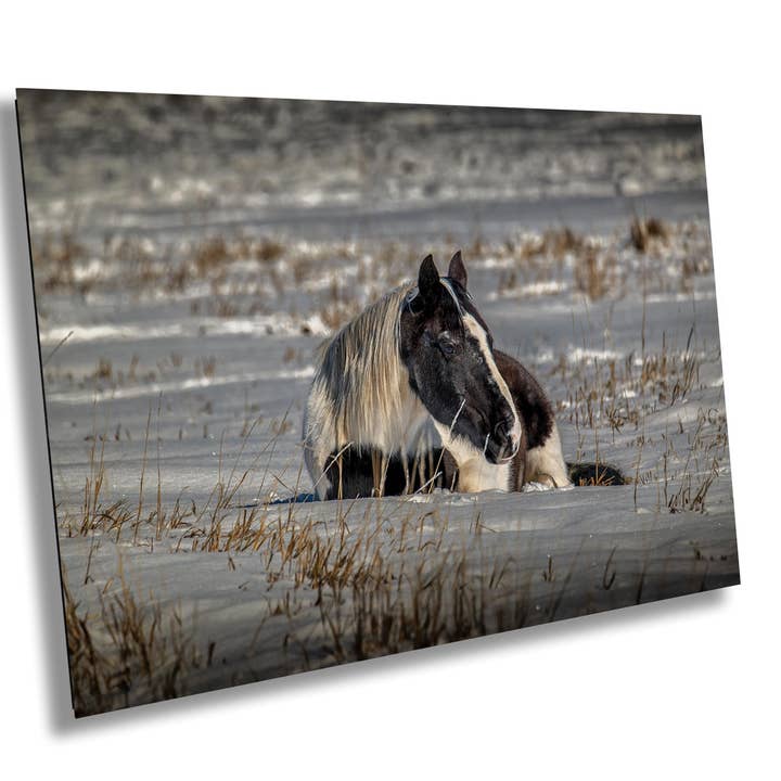 Art mural rustique de cheval | Papier photo - 20x25 cm pour la vente par 998 Millibar Photography