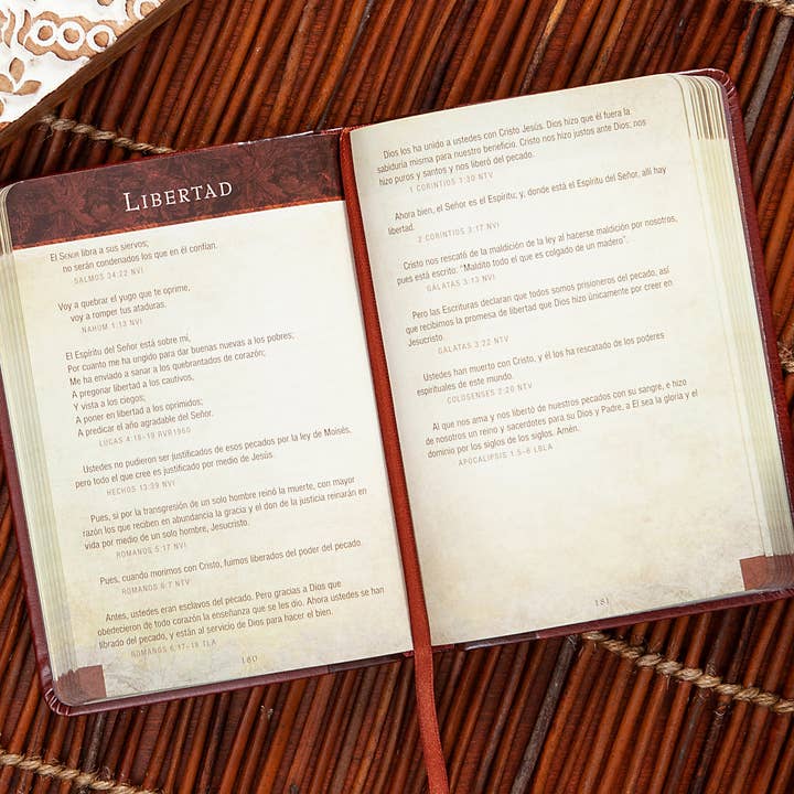 BroadStreet Publishing Group, LLC - Wholesale Religion - Promesas De La Biblia Para La Vida (Spanish Devotional)1