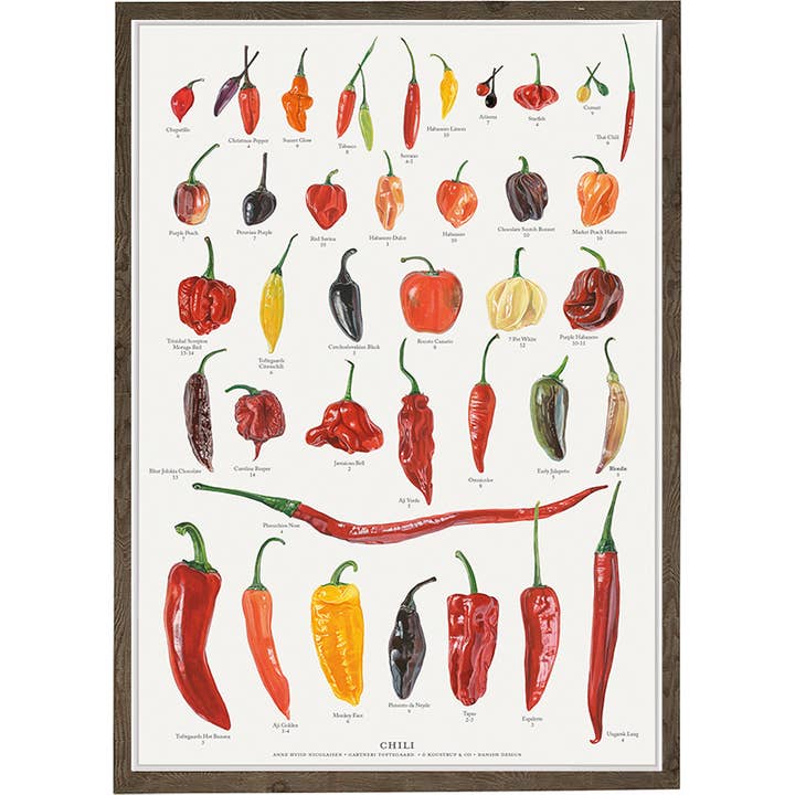 Poster A4 Chili- printed in Europe for wholesale by Koustrupco