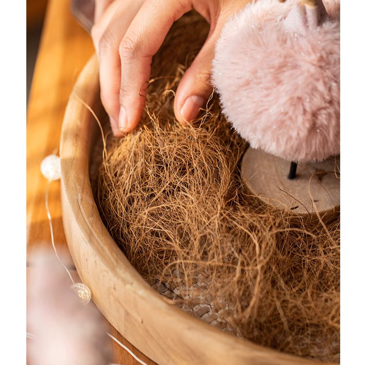 Rustic Reach - Wholesale Planting/Potting Soil - Coconut Fiber Pot Soil Surface Decoration Padding Material Set of 38