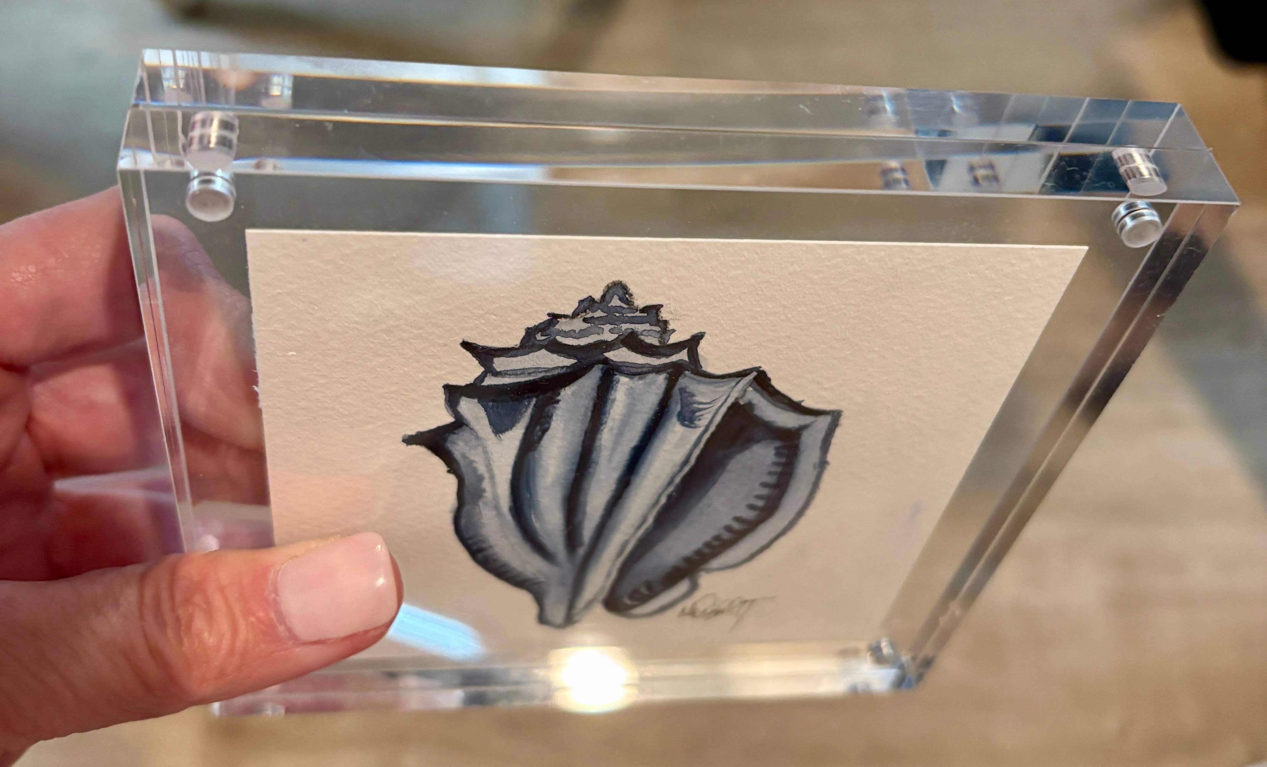 Paper Shells Studio - Venta al por mayor Ilustración - Concha marina original en acuarela en marco de bloque acrílico, 5x55