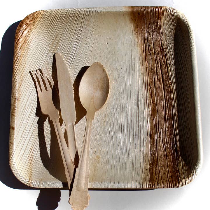 Eco Elegant Table Ware - Venta al por mayor Platos desechables - Plato de bambú, 50 unidades, 10 pulgadas, cuadrado, 150 piezas, cubiertos desechables