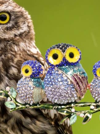 Broche en cristal hibou pour la vente par Ciao Bella Jewelry Inc