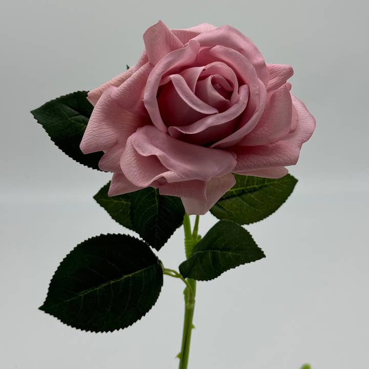 JKF & Co Pty Ltd - Wholesale Artificial flowers - Mila Rose Real Touch Dusty Pink