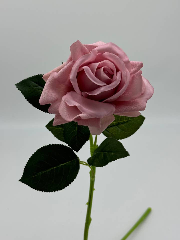 Mila Rose Real Touch Dusty Pink for wholesale by JKF & Co Pty Ltd