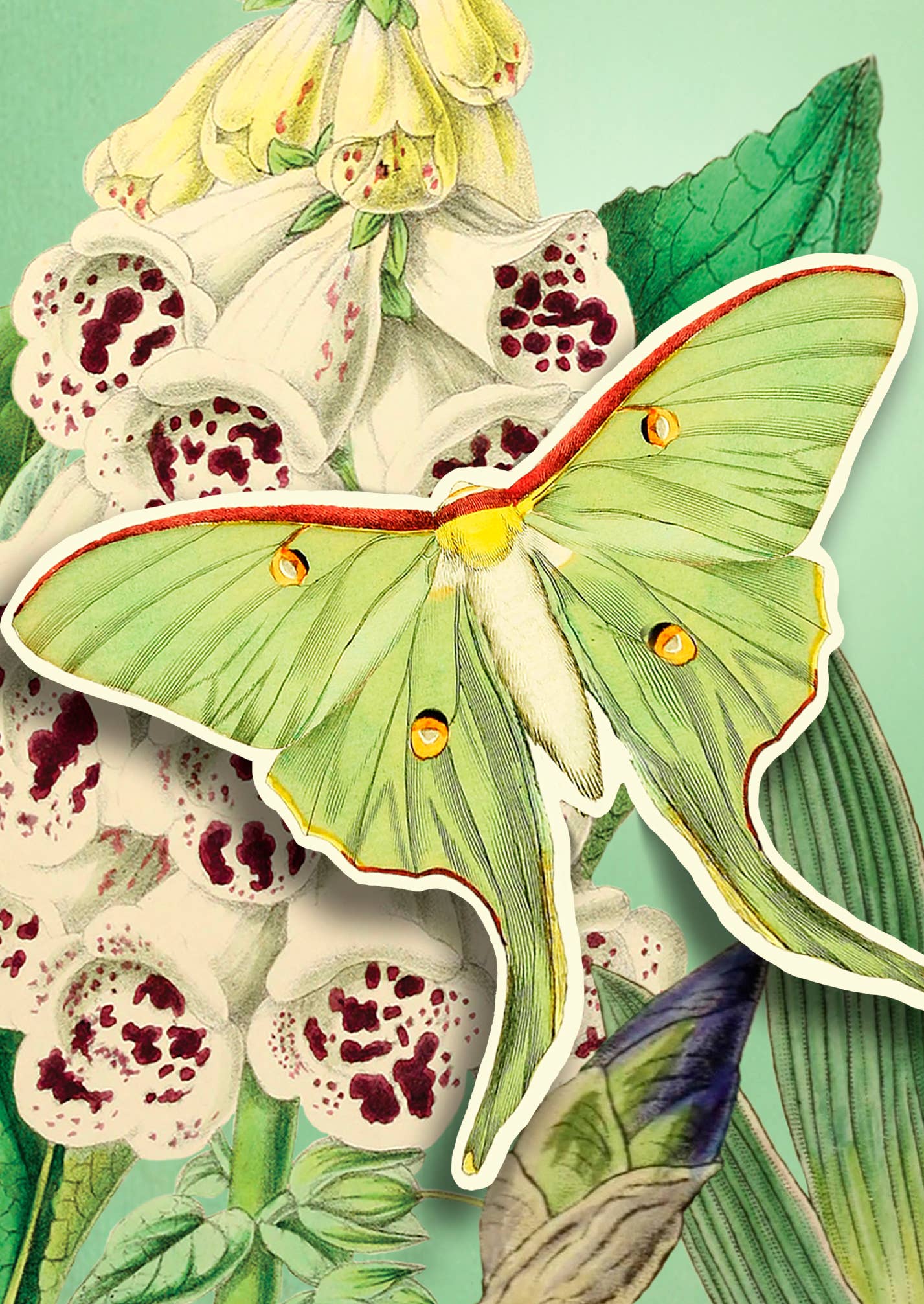 Madame Treacle - Wholesale Everyday Greeting Card - PU003P ~ Pop Up Greeting Card With Butterfly  1