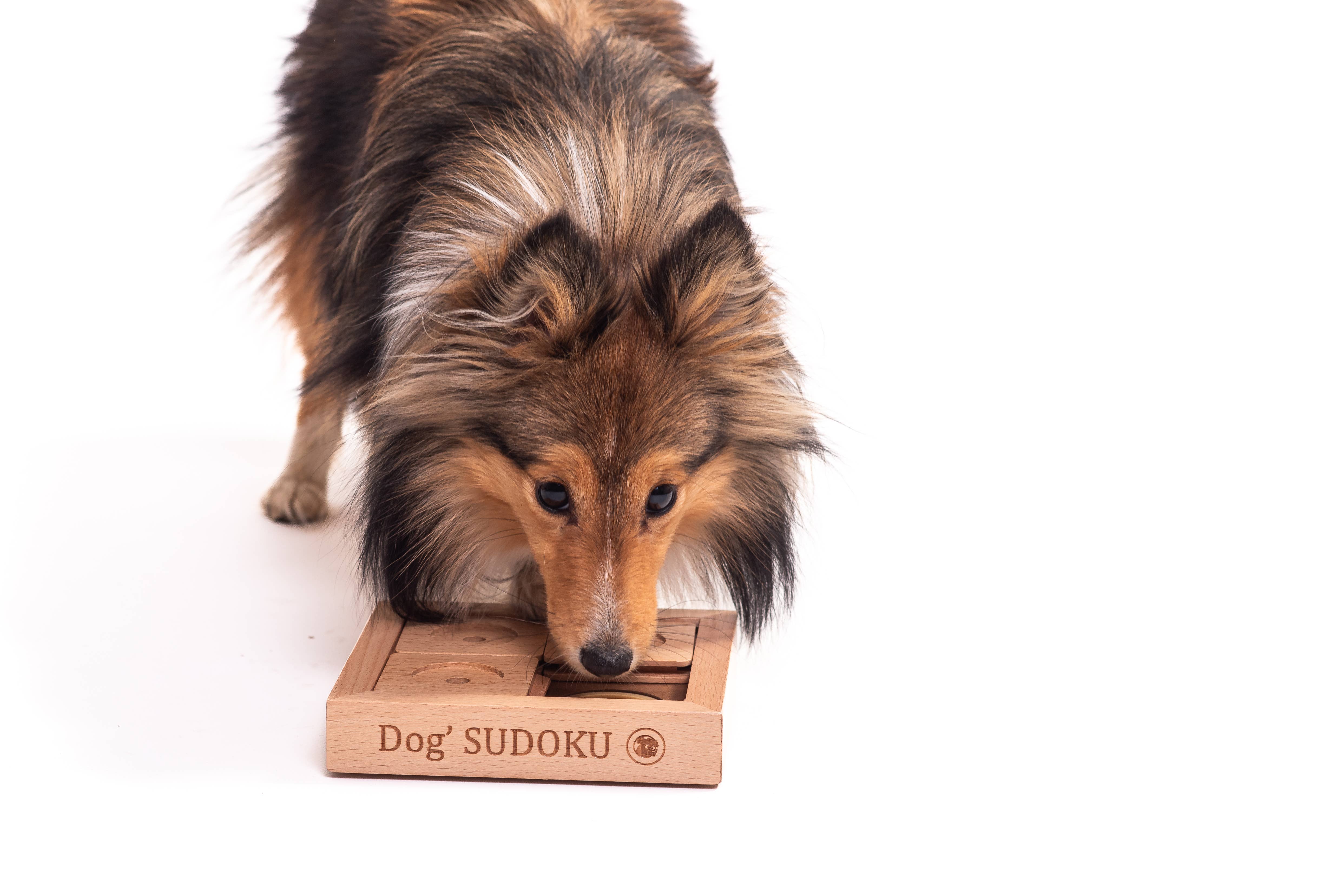 My Intelligent Dogs - Vendita all'ingrosso Giocattoli per animali - Cani e gatti - SUDOKU Small Basic - Puzzle Sudoku per cane e gatto2