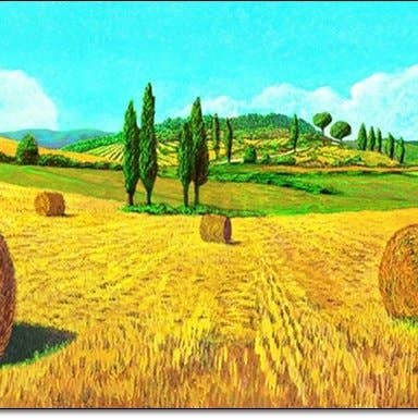 A. Del Missier - E' Fieno per la vendita all'ingrosso da parte di Migneco & Smith