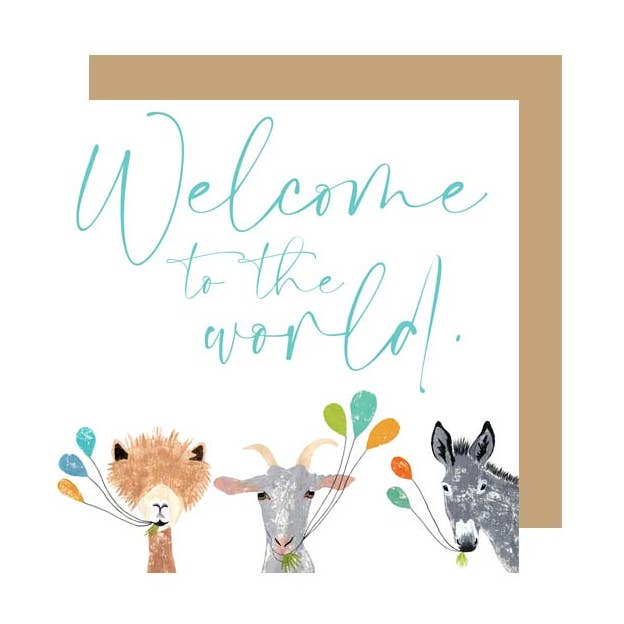 PA24 por atacado de IzziRainey